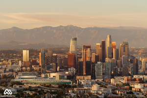 Video 1 trigger image