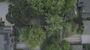 Video 2 trigger image